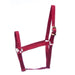 Jeffers Turnout Nylon Halter, 2-yr old (600-900 lb) - Red  