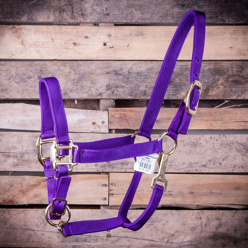 Large Horse Adjustable Halter with Throat Snap (900-1200 lb) - Purple  