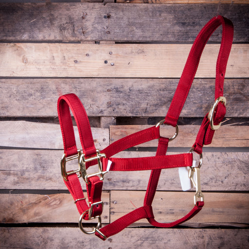 Jeffers Adjustable Nylon Horse Halter with Throat Snap, 600-900 lbs - Red  