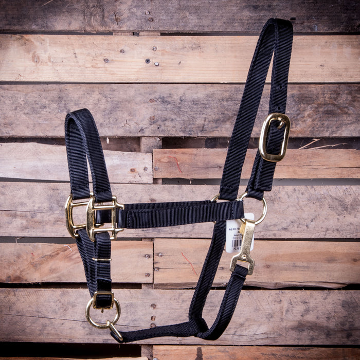 Jeffers Yearling Adjustable Halter with Throat Snap, (400-600 lb) - Black  