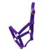 Jeffers Mini Horse Nylon Halter - Purple  