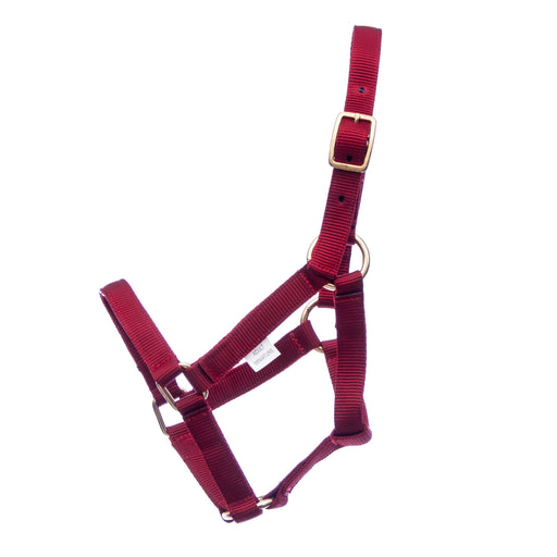 Jeffers Adult Miniature Nylon Horse Halter (under 300 lb) - Red  