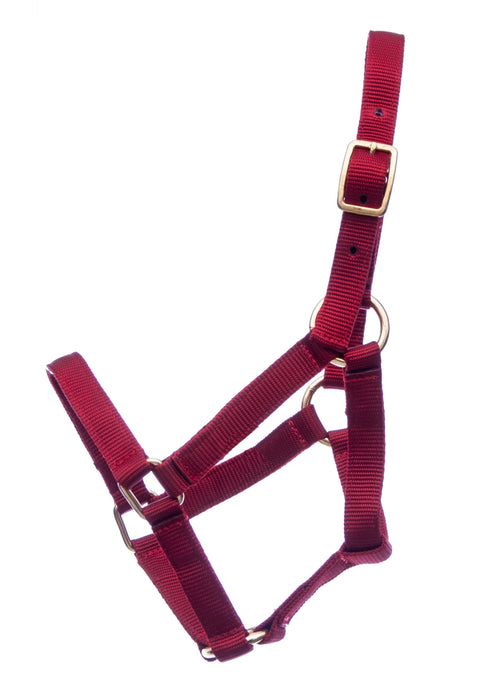 Jeffers Miniature Yearling (under 100 lb) Nylon Halter - Red  