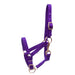 3/4" Adjustable Nylon Miniature Halter - Purple  