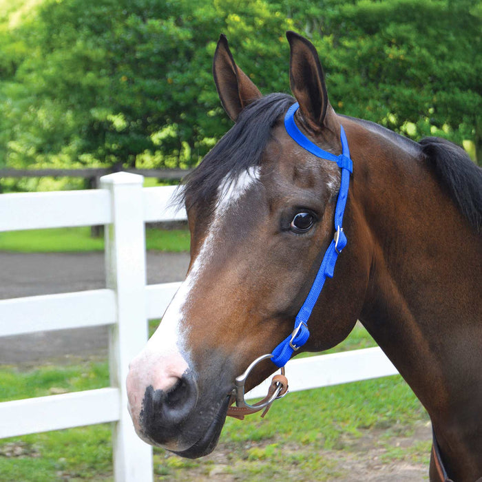 Jeffers Nylon One-Ear Western Horse Headstall