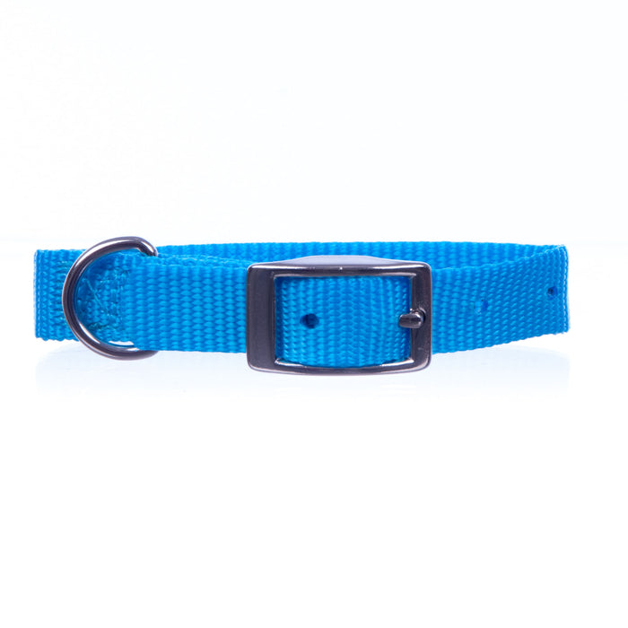 5/8" Nylon Dog Collar, 16" L - Turquoise  