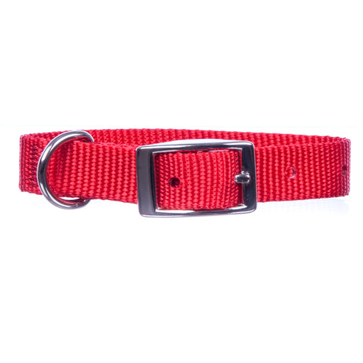 5/8" Nylon Dog Collar, 16" L - Apple  