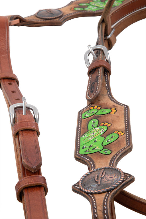 Showman Hand Painted Cactus Tack Set -   