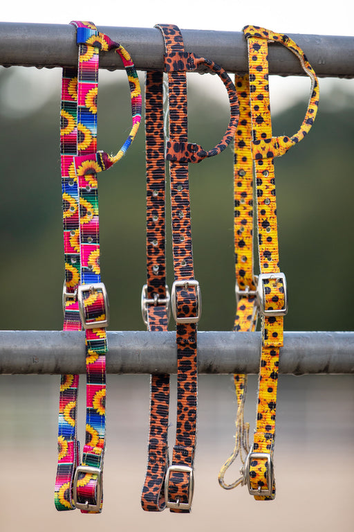 Showman Nylon One Ear Headstall in Patterns - Cheetah  