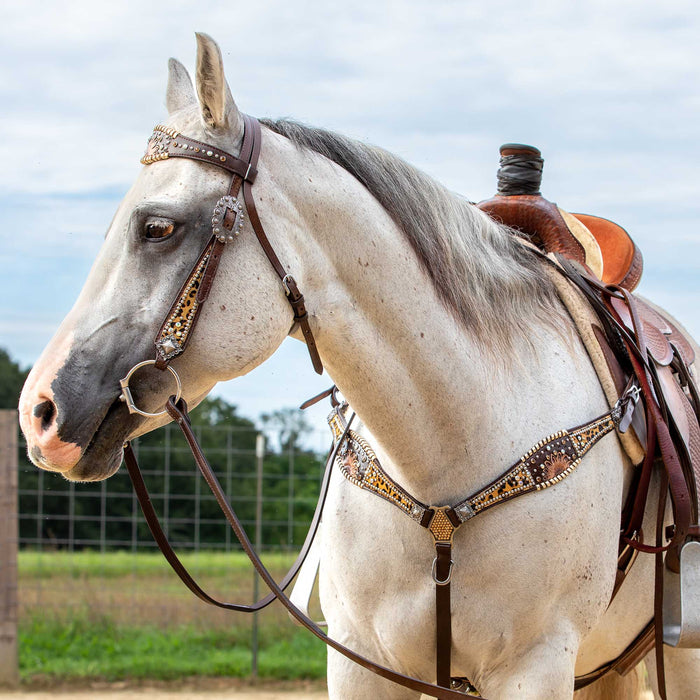 Showman Beaded Cheetah Headstall & Breast Collar -   