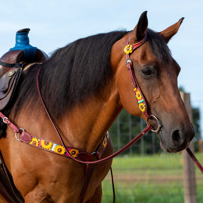 Showman Serape and Sunflower Headstall & Breast Collar -   