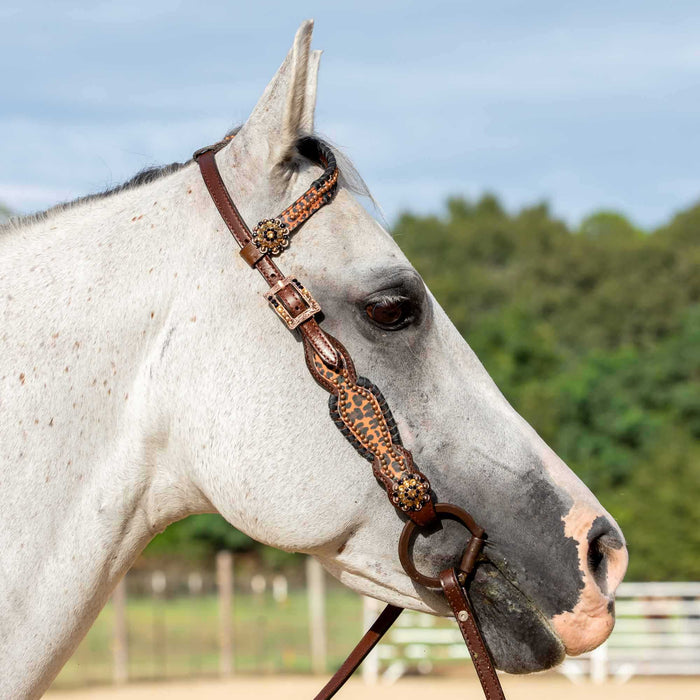 Showman Cheetah & Buckstitch Tack Set -   