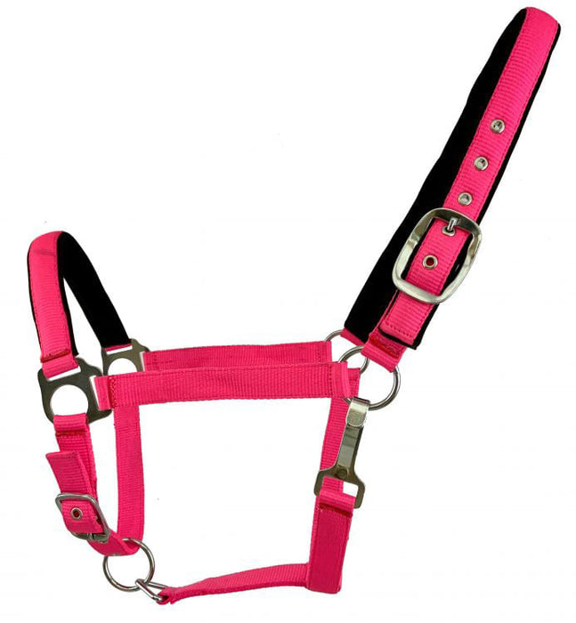 Showman Fluorescent Halters, Full - Pink  