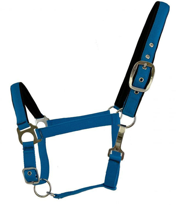 Showman Fluorescent Halters, Full - Blue  