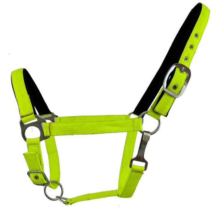 Showman Fluorescent Halters, Full - Lime Green  