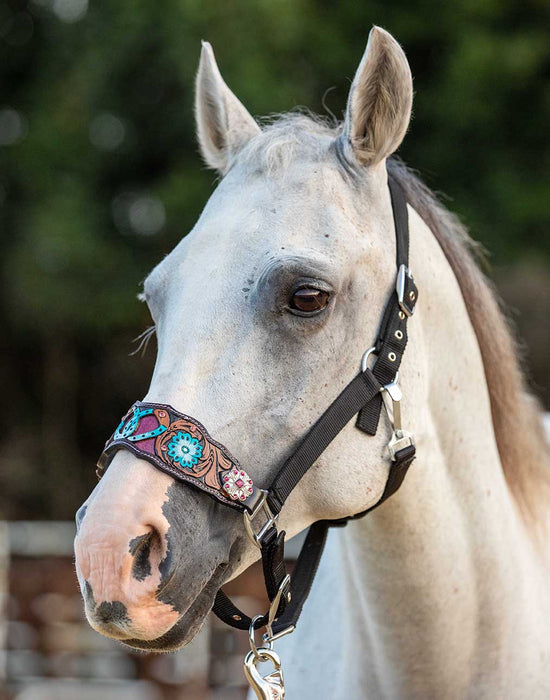 Showman Horse Shoe Bronc Halter -   