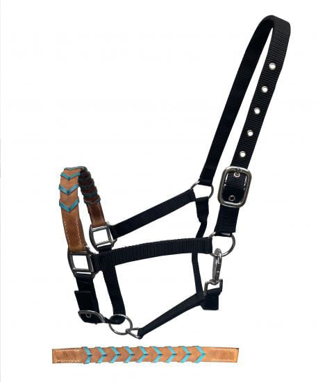 Showman Leather Nose & Buckstitch Halter - Brown/Teal  