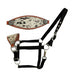 Showman Cowhide Bronc Halter -   