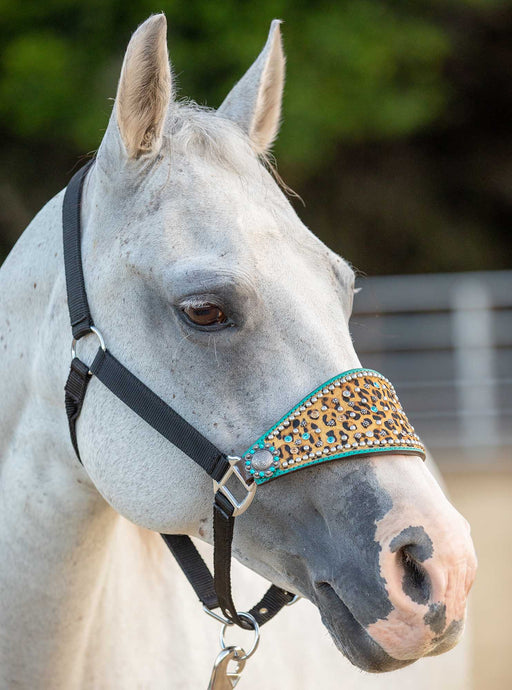 Showman Cheetah & Rhinestone Bronc Halter -   