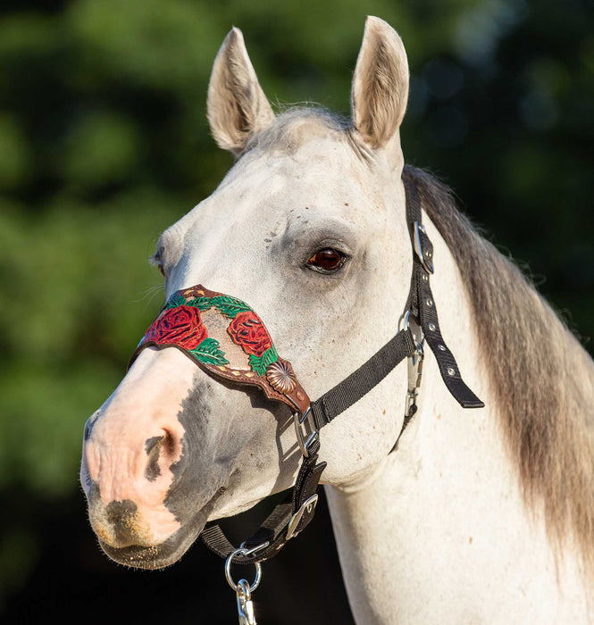 Showman Painted Rose Bronc Halter -   