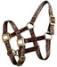 Showman Mini Halter in Patterns - Cheetah  