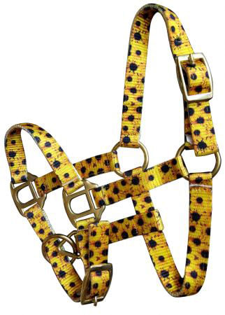 Showman Mini Halter in Patterns - Sunflower  