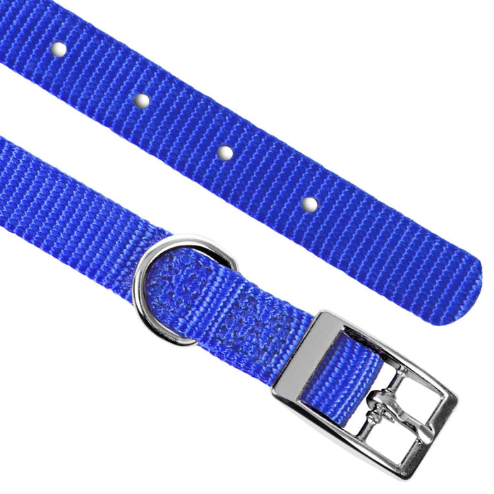 5/8"W Jeffers Nylon Dog Collar, 10"L - Royal Blue  