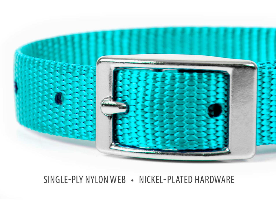 5/8"W Jeffers Nylon Dog Collar, 10"L - Turquoise  