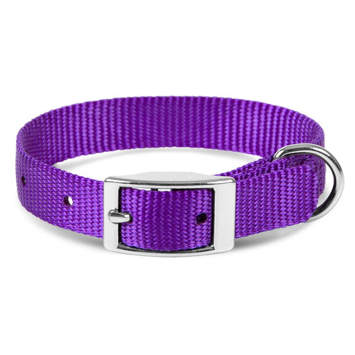 5/8"W Jeffers Nylon Dog Collar, 12"L - Purple  