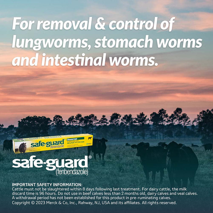 Safe-Guard Dewormer Paste - Cattle, 290 g Single Pack 