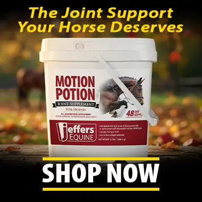 Jeffers Motion Potion Joint Supplement - Shop now