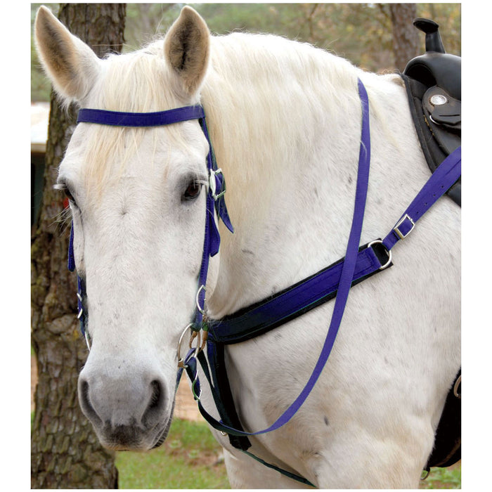 Triple E Nylon Draft Bridle w/ Bit & Reins - Purple  