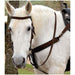 Triple E Nylon Draft Bridle w/ Bit & Reins - Brown  