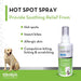 Hot Spot Spray (Allercaine) with Bittran - 4 oz Allercaine Spray  