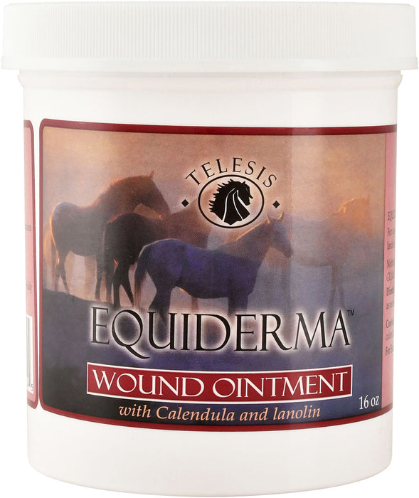 Equiderma Wound Ointment -   