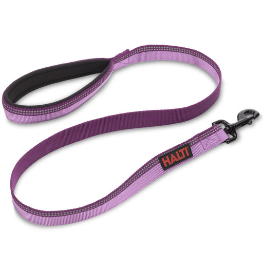 Halti 4' Walking Lead, Purple - Small Walking Lead, Purple, 4'  