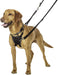 Halti No Pull Harness - Small  