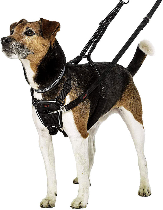 Halti No Pull Harness - Small  