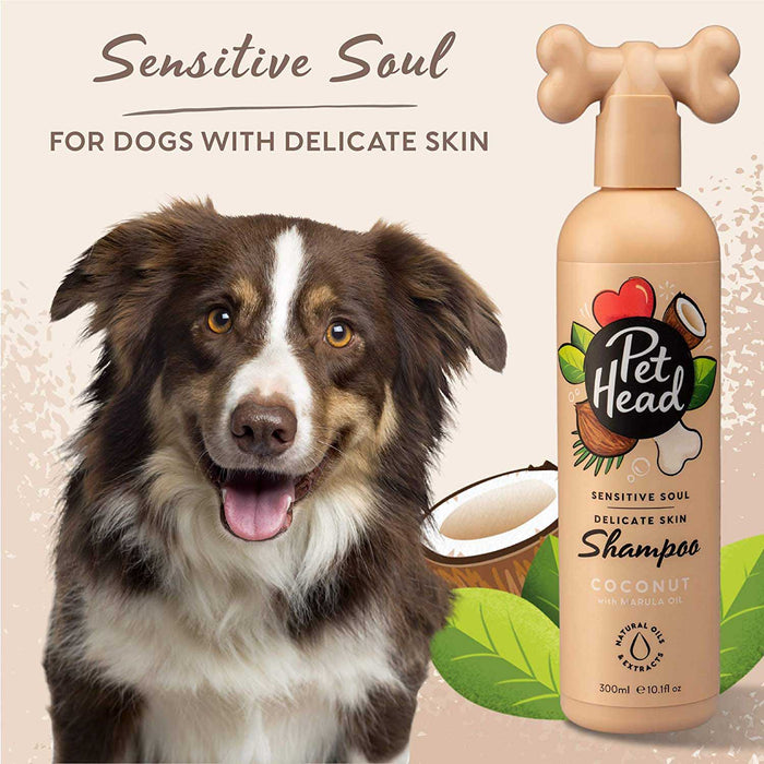 Pet Head Sensitive Soul Shampoo, 16oz - N 16oz Coconut