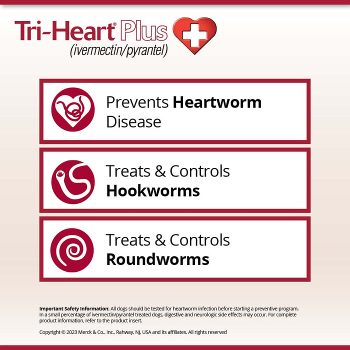 Rx Tri-Heart Plus Chewable Tablets for Dogs, 6 count - Tri-Heart Plus for 26-50 lb Dogs  