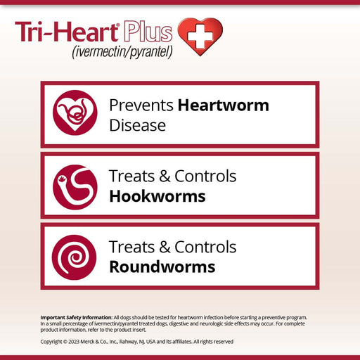 Rx Tri-Heart Plus Chewable Tablets for Dogs, 6 count - Tri-Heart Plus for 0-25 lb Dogs  