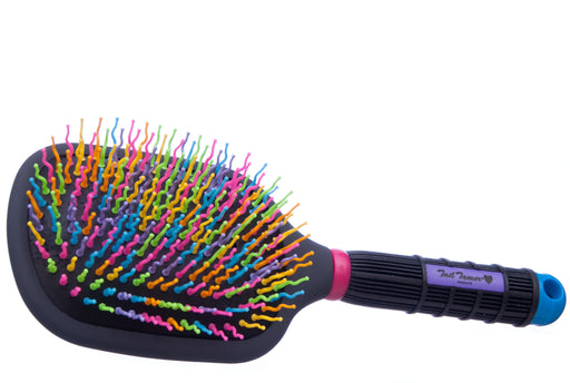 Rainbow Paddle Brush -   