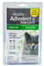 Vetality Advotect II for Cats, 6 pack - Cat over 9lbs  