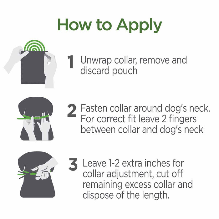 Vetality Avantect II Flea & Tick Collar for Dogs, 2 pack - Large  