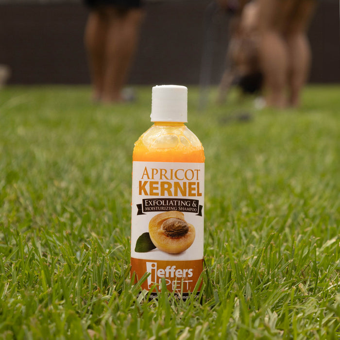 Jeffers Apricot Kernel Shampoo - Jeffers Apricot Kernel Shampoo, 17 oz  