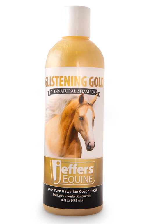 Jeffers Glistening Gold Shampoo for Horses - Glistening Gold Shampoo, 16 oz  