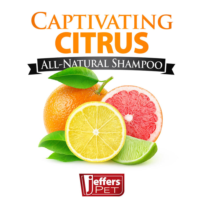 Jeffers Captivating Citrus Shampoo for Dogs and Cats