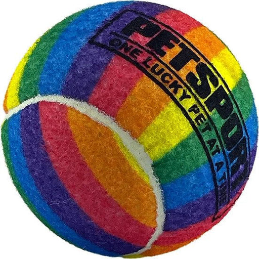 Rainbow Squeak Ball, 4" -   