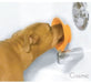 Boredom Busterz Bath Buddy Suction Cup Pet Bathing Assistant Tool -   