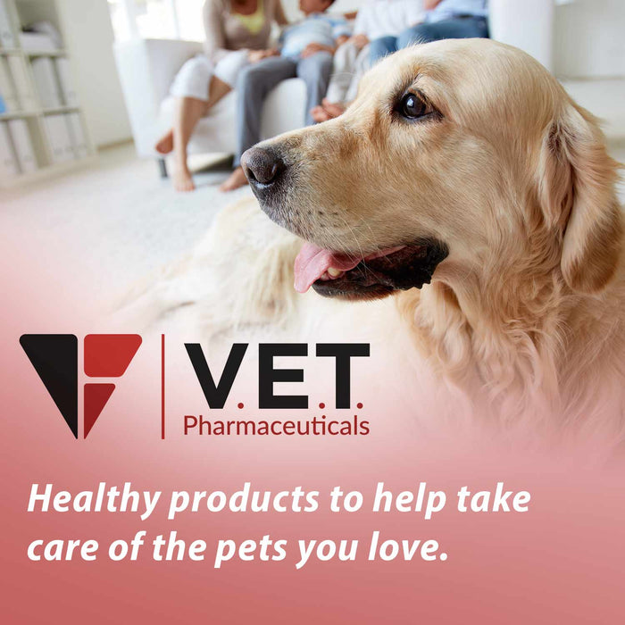 PETIZYME Digestive Aid Powder for Dogs and Cats, 12 oz